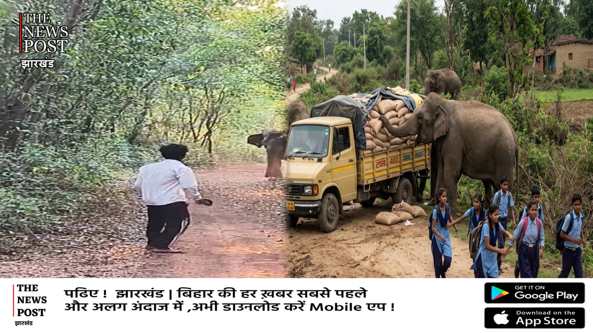 गजराज का आतंक:अनाज लदा वाहन घेरा, डर से भाग रही छात्रा घायल