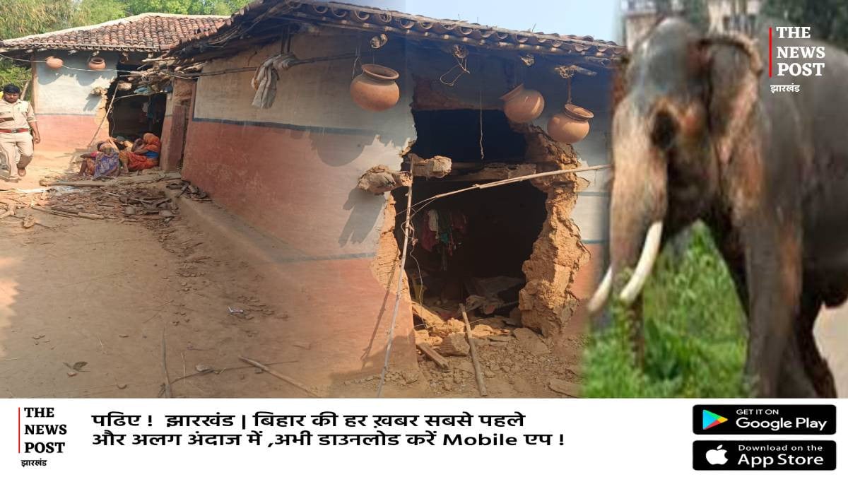 सरायकेला के इचागढ़ में हाथियों ने बरपाया कहर, जंगली हाथी ने मां-बेटी को कुचलकर उतारा मौत के घाट
