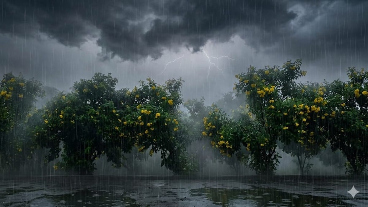 अचानक बदला मौसम का मिज़ाज: झारखंड के कई जिलों में झमाझम बारिश से लोगों को गर्मी से मिली राहत