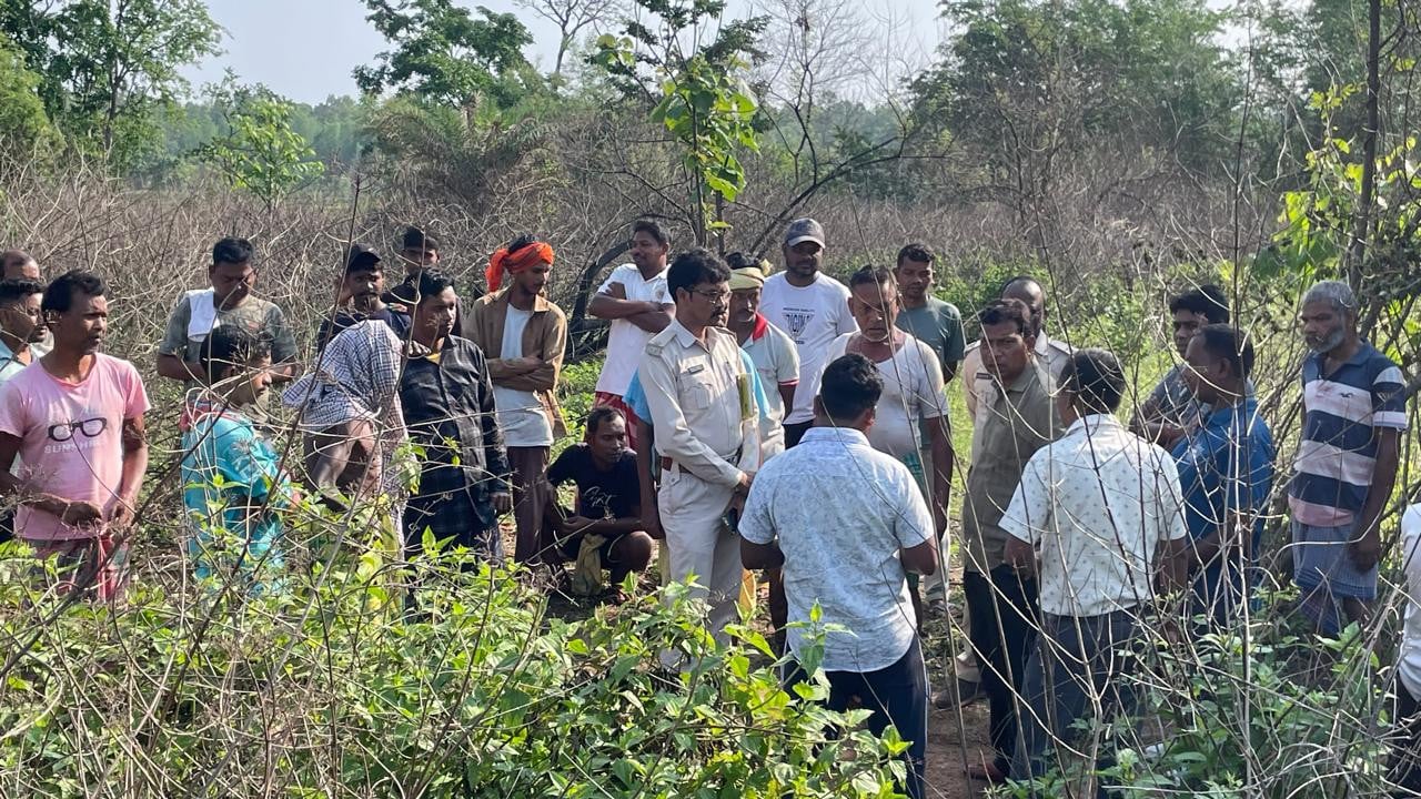 पूर्वी सिंहभूम में हाथी के कहर: चाकुलिया में वृद्धा की जान ली, गांव में दहशत