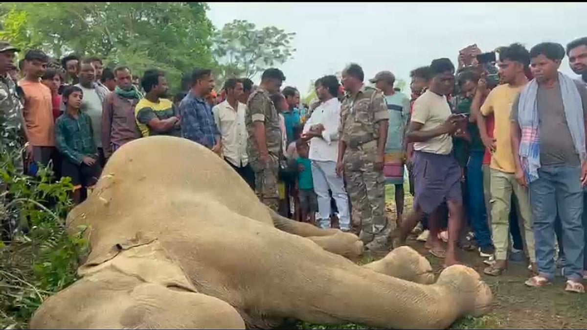 संकट में गजराज: चांडिल में सिस्टम की चूक ने ली बेजुबान की जान, करंट से नर हाथी की मौत