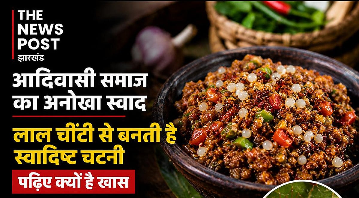 आदिवासी समाज का अनोखा स्वाद, लाल चींटी से बनती है स्वादिष्ट चटनी, पढ़िए क्यों है खास