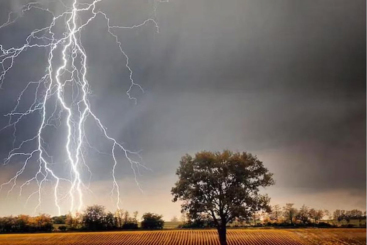 Weather Alert:झारखंड में वज्रपात से अब तक 5 की मौत,अगले 4 दिनों तक भारी बारिश और वज्रपात का अलर्ट