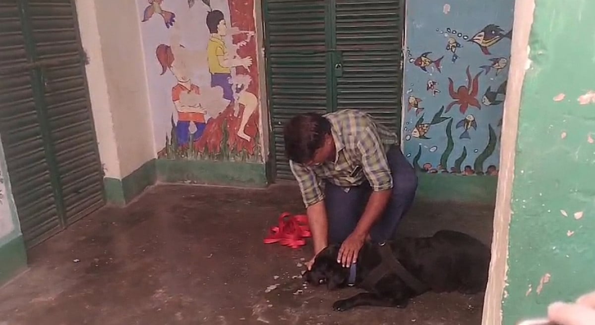सरकारी स्कूल में किशोरी की नाबालिग प्रेमी ने की थी हत्या, फिर हुआ कुछ ऐसा....