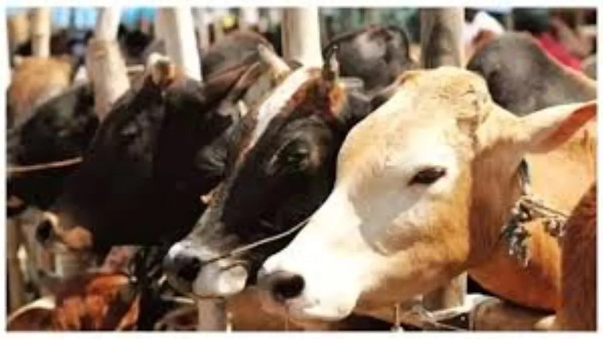 झारखंड के पशु तस्करों की क्या अब टूट जाएगी कमर,बंगाल के फैसले का क्या होगा असर