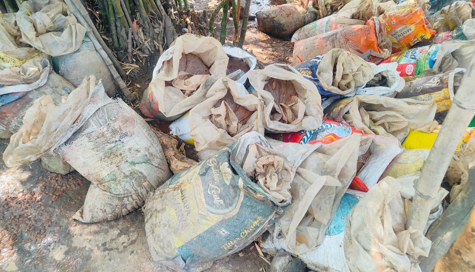 चाईबासा में महुआ शराब पर बड़ी कार्रवाई, 4000 लीटर कच्ची शराब नष्ट