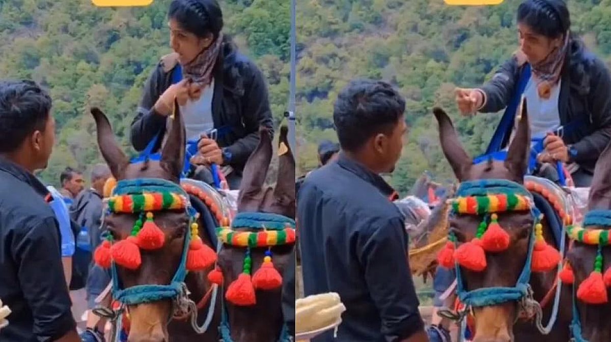 तेरा बाप का रोड है क्या.... केदारनाथ में महिला ने खच्चर वाले के साथ जो किया देखकर खौल उठा लोगों का खून