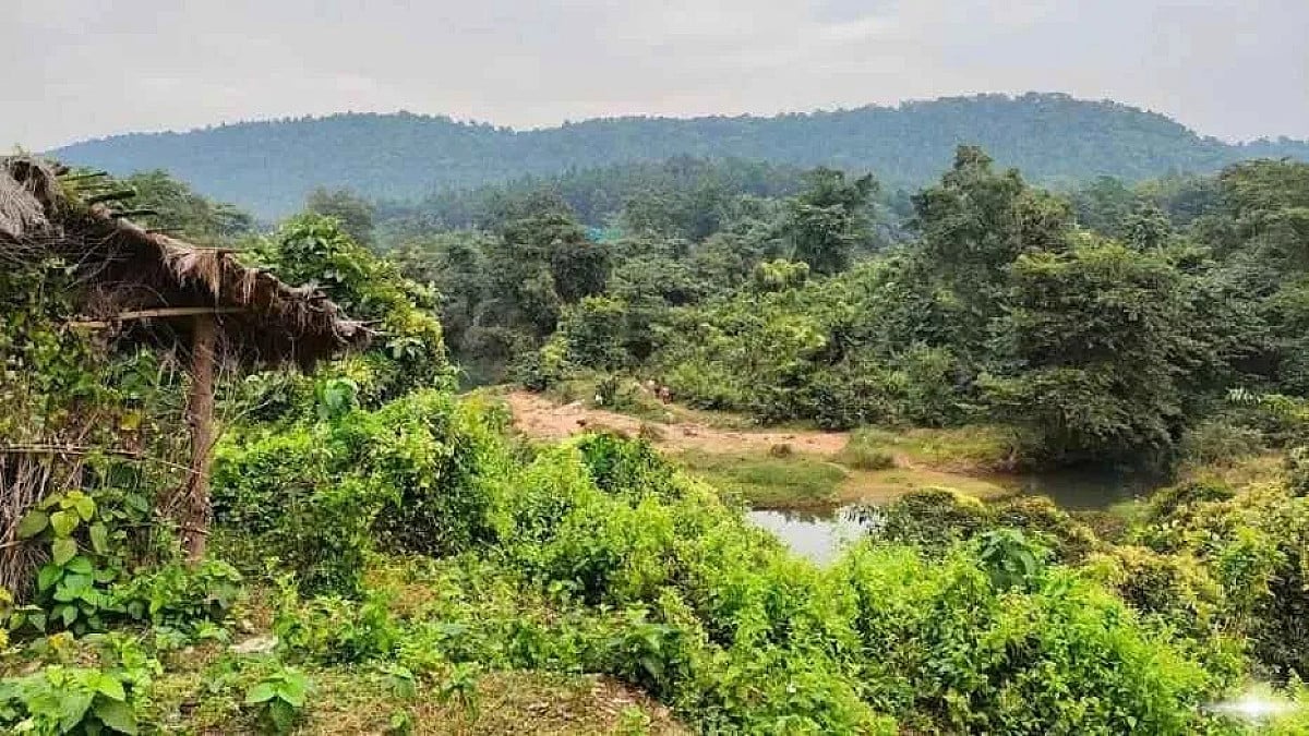 झारखंड के जंगलों पर मंडराया भीषण खतरा, अगले 7 दिन बेहद संवेदनशील, फॉरेस्ट फायर अलर्ट जारी