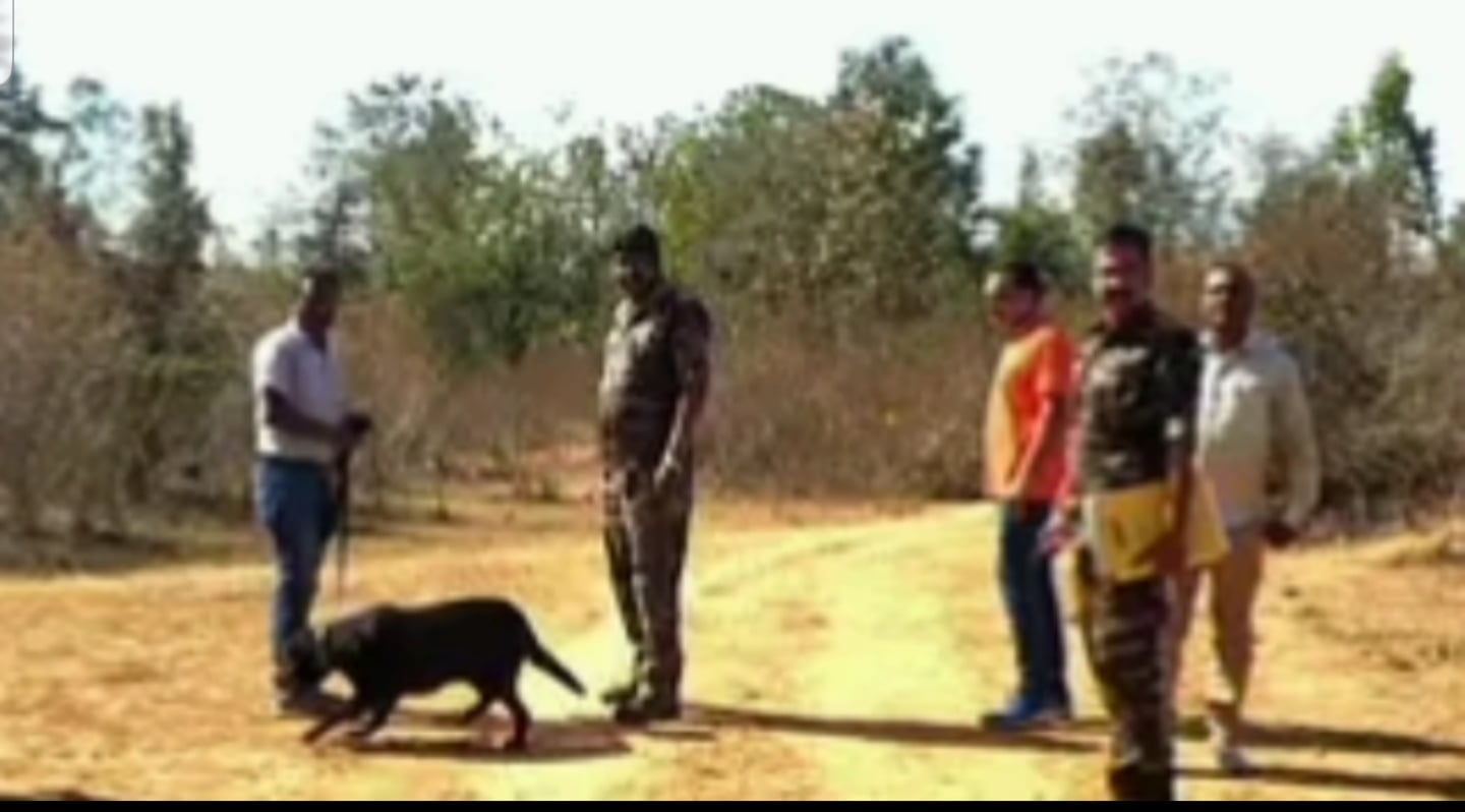 लातेहार में महिला की पीट-पीटकर हत्या, शव को जलाया, घटनास्थल पर पहुंचे एसपी