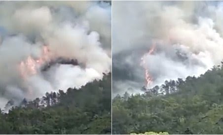 लाइव अपडेट : चीन में बड़ा विमान हादसा ,133 पैसेंजर थे सवार ,9 क्रू मेंबर्स भी थे प्लेन में