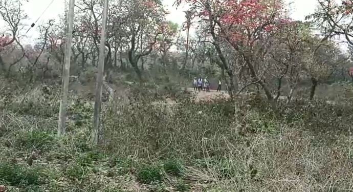 6 बीघा सरकारी जमीन पर दबंगों ने किया अवैध कब्जा, आयुक्त से जांच की मांग