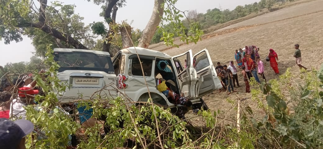 देवघर में पेड़ से टकरायी कार, तीन की मौत, कई घायल