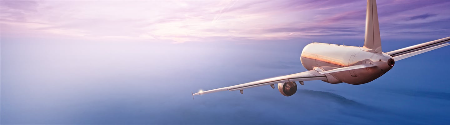 लैंडिंग के समय तूफान में फंसी स्पाइसजेट की फ्लाइट, 14 यात्री और 3 केबिन क्रू घायल