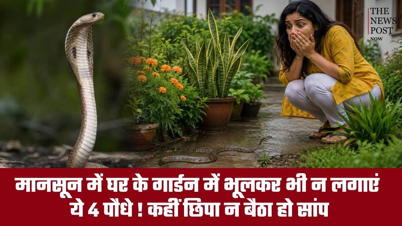 बारिश में गार्डन में भूलकर भी न लगाएं ये 4 पौधे, सांपों का बन सकता है ठिकाना!