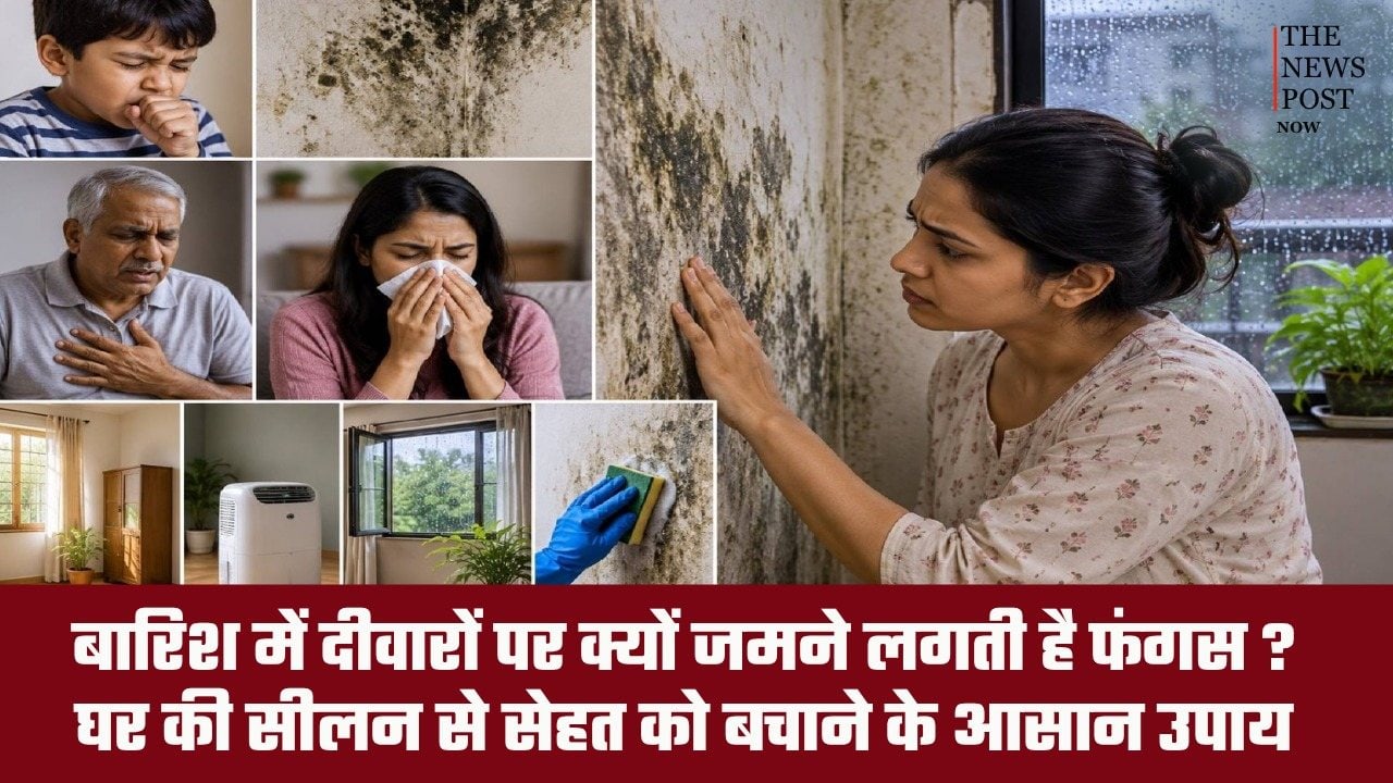 बारिश में दीवारों पर क्यों जमने लगती है फंगस? घर की सीलन से सेहत पर क्या पड़ता है असर