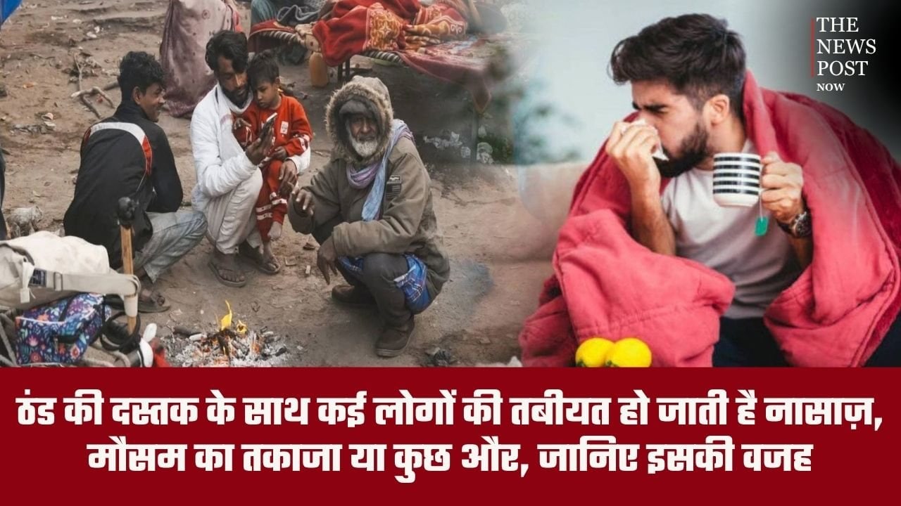 ठंड की दस्तक के साथ क्यों बिगड़ने लगती है तबीयत? मौसम का तकाजा या कुछ और, जानिए वजह और बचाव के उपाय