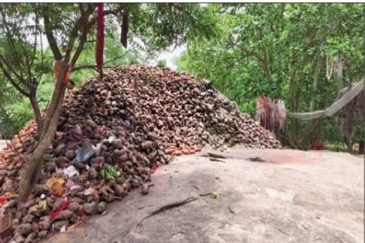 चतरा के चटनियां बाबा को क्यों माना जाता है चमत्कारी? मन्नत पूरी होने पर क्यों चढ़ाये जाते हैं मिट्टी के हाथी-घोड़े?