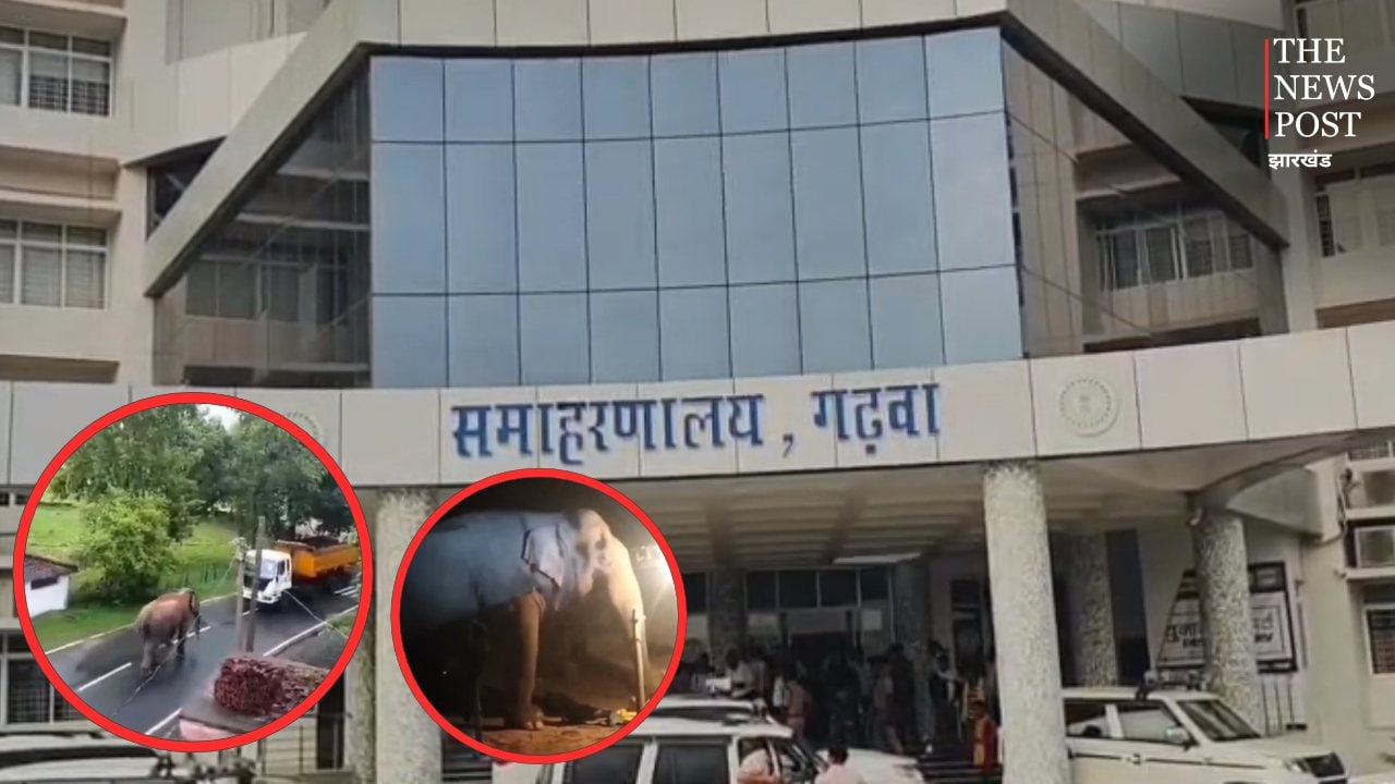 गढ़वा में सरेआम घूम रहे 50 से ज्यादा हाथी, 24 गांवों के ग्रामीणों की बढ़ी चिंता, अलर्ट मोड पर वन विभाग