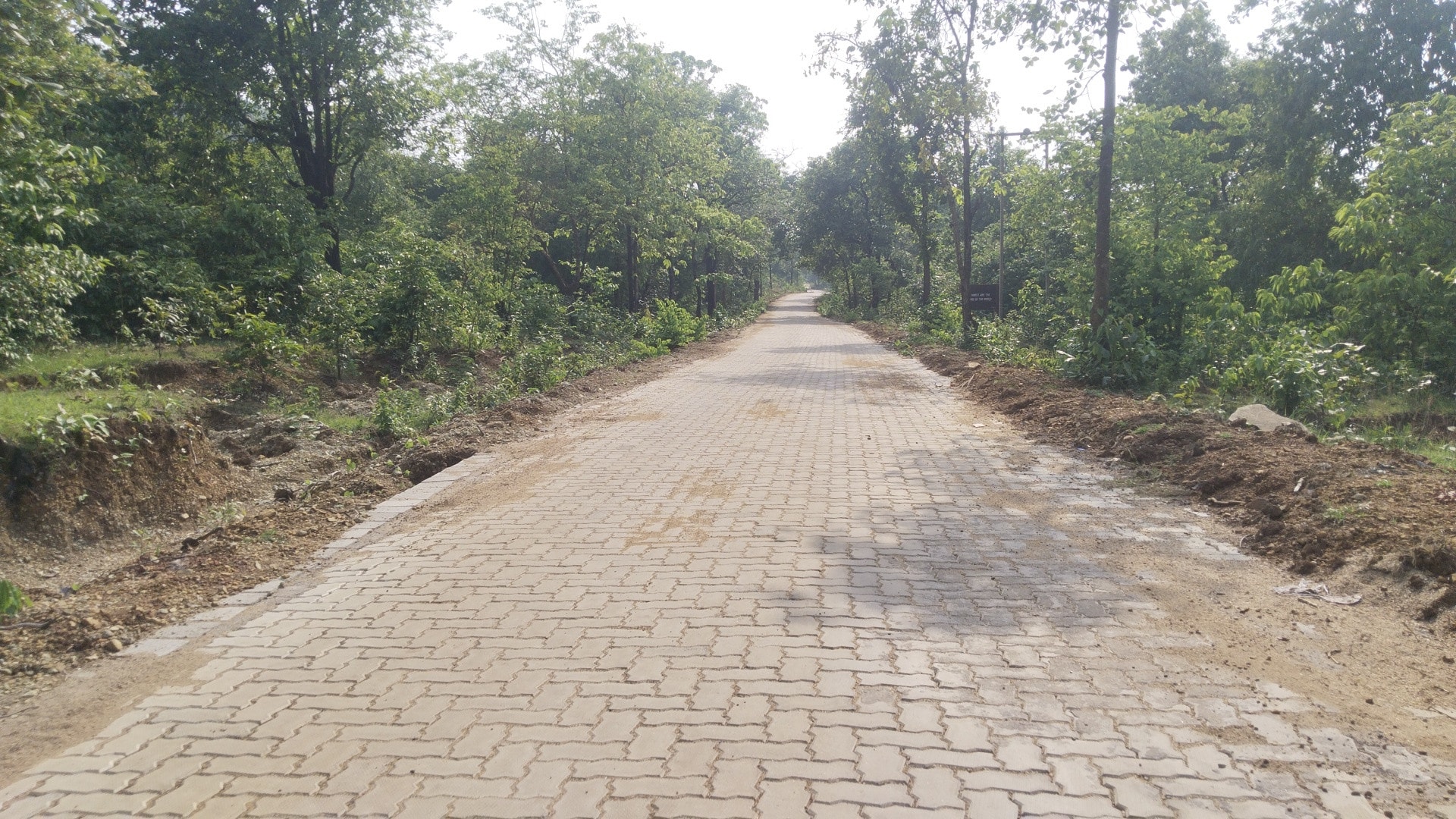 बारिश में भी अब दलमा की राह आसान, डेढ़ किमी सड़क पर बिछा पेवर्स ब्लॉक