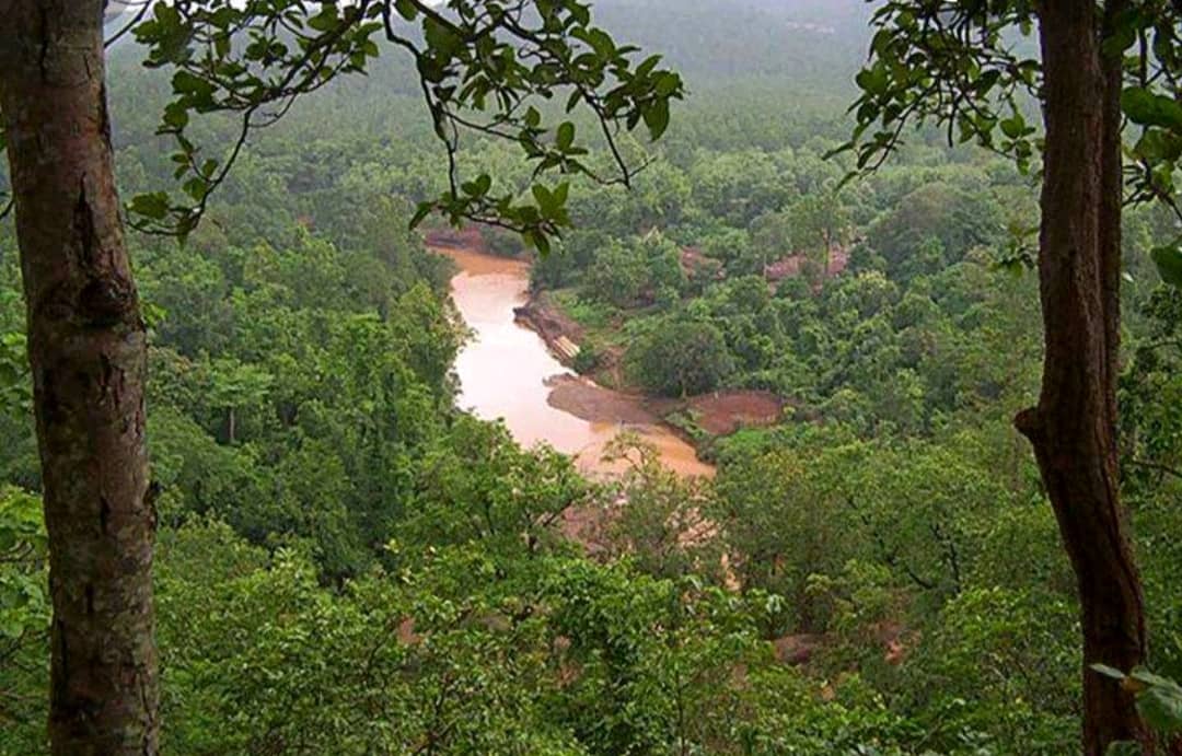 सारंडा की सुंदरता पर लगा ग्रहण, एक तरफ कारो नदी का अस्तित्व खतरे में, दूसरी तरफ पेड़ो की कटाई जोरों पर