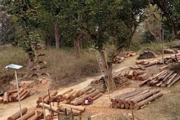 सारंडा के रेंजर की गिरफ्तारी के बाद वन अधिकारियों में हडकंप , रेंजर उगल रहा राज