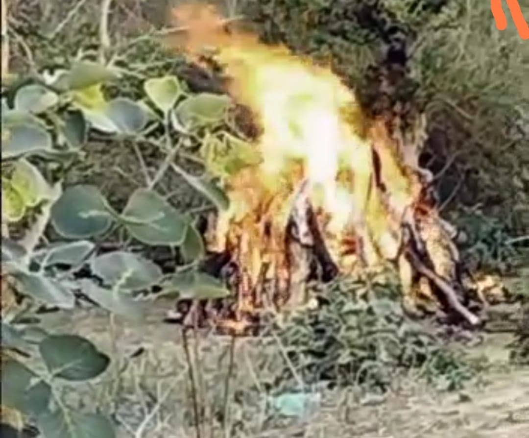 तंत्र मंत्र के चक्कर में सगी बहन की दे दी ब'लि, 5 लोग हिरासत में