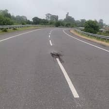 DHANBAD: विकास का हाल देखिये -छह माह में ही टूटने लगी सड़क