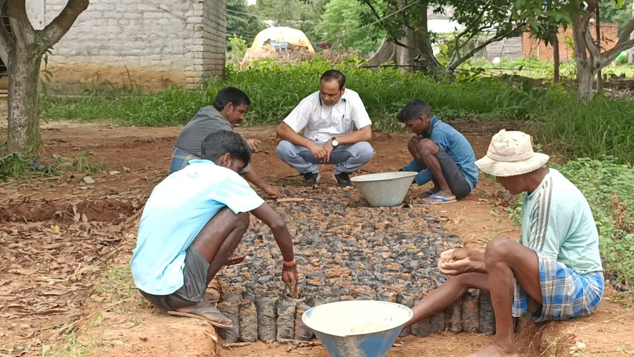 वृक्षारोपण के लिए गुमला वन विभाग ने कसी कमर, तैयार किये जा रहे पौधे
