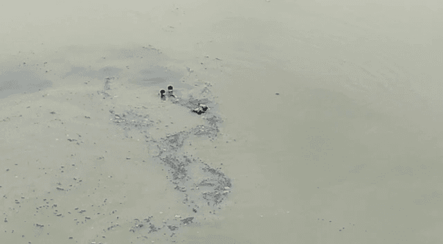 नदी से अज्ञात महिला का बहता श'व बरामद, पहचान करने में जुटी पुलिस