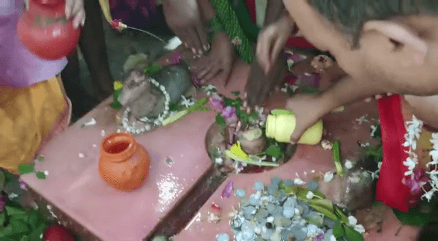 श्रावण माह विशेष: अगर नहीं कर पाएं द्वादश ज्योतिर्लिंग पर जलाभिषेक, तो नर्वदेश्वर महादेव पर जलार्पण कर बन सकते हैं पुण्य के भागी