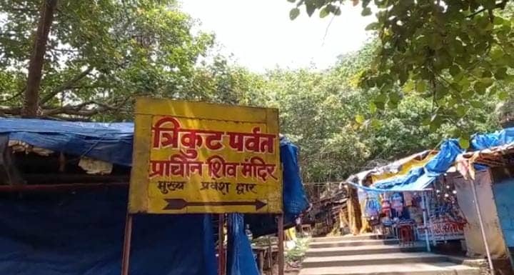 त्रिकूट पर्वत पर फिर से लहराने को तैयार हैं लेमन ग्रास, केंद्र सरकार कर रही पहल