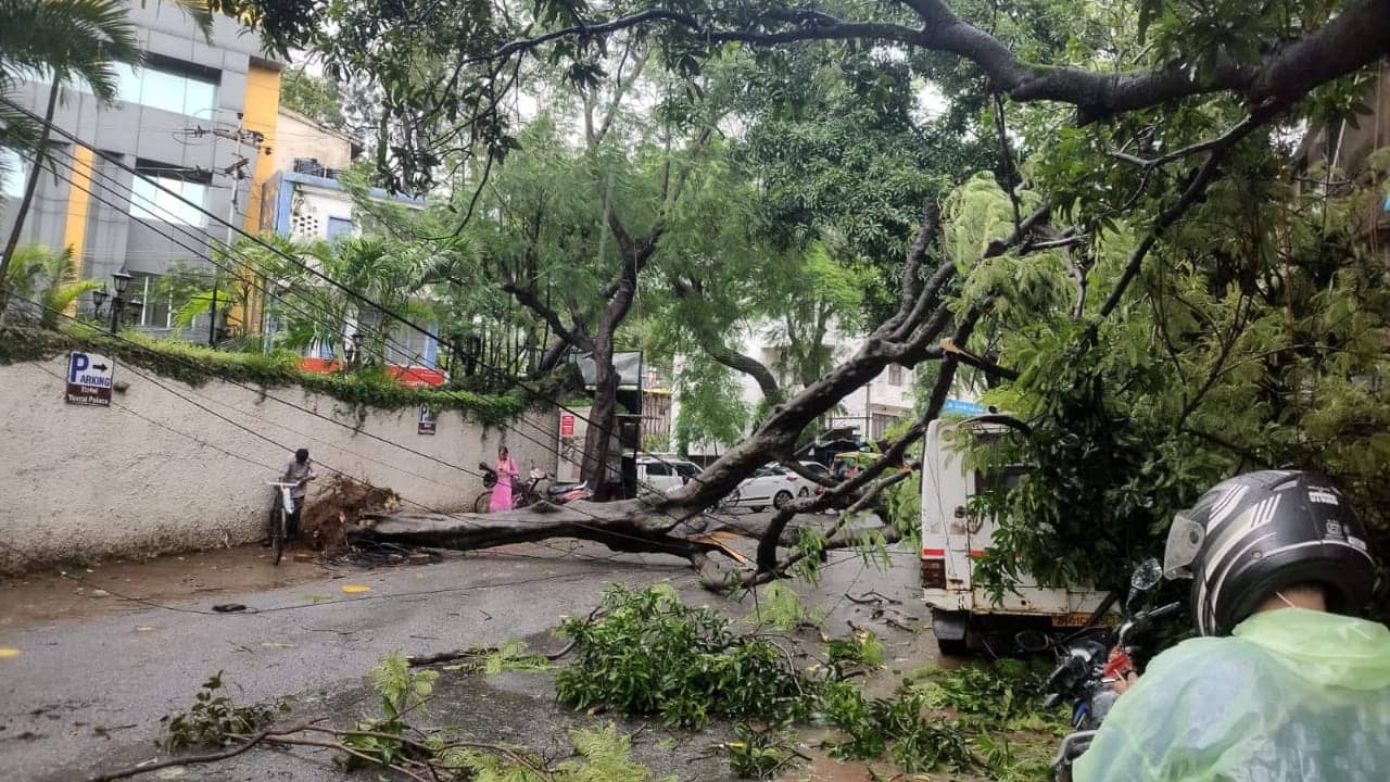 रांची और आसपास के इलाके में भारी बारिश , पेड़ गिरने से जगह जगह आवागमन बाधित