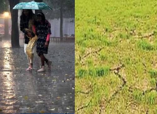 राज्य में सामान्य से 36 फीसदी कम बारिश से मुरझाए खेत, सिर्फ राजधानी लबालब