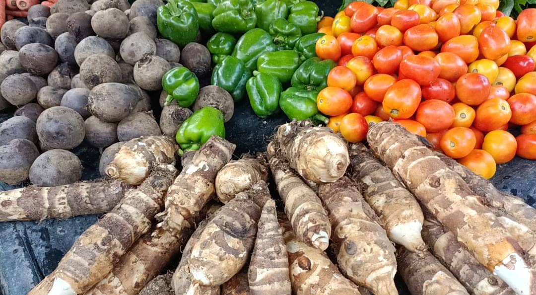 मां भले ही खाट पर हो लेकिन जिउतिया कैसे छोड़ेगी