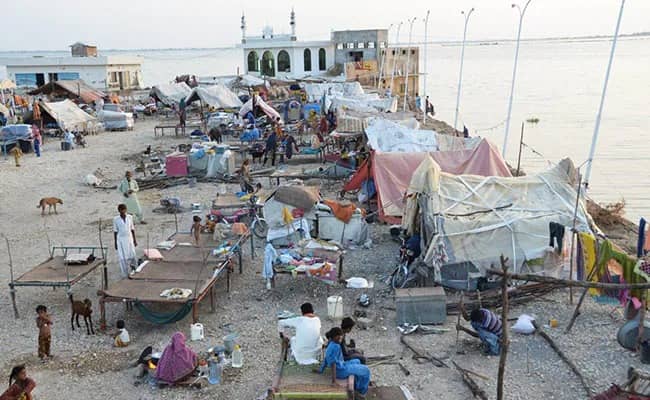 मलेरिया से बुरी तरह जूझ रहे पाकिस्तान को आई पड़ोसी की याद, भारत से खरीदेगा 6.2 मिलियन से अधिक मच्छरदानी