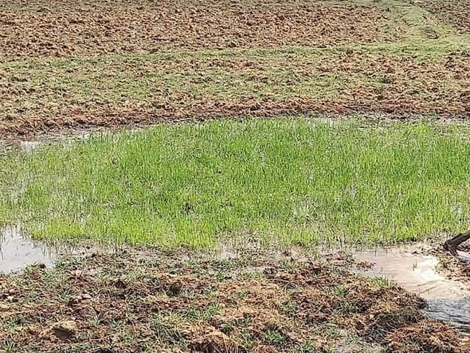 दुमका: सिंचाई विभाग के 15 सदस्यीय इंजीनियरों की टीम ने सिंचाई परियोजनाओं का किया निरीक्षण, किसानों को दिया नहर मरम्मत का आश्वासन