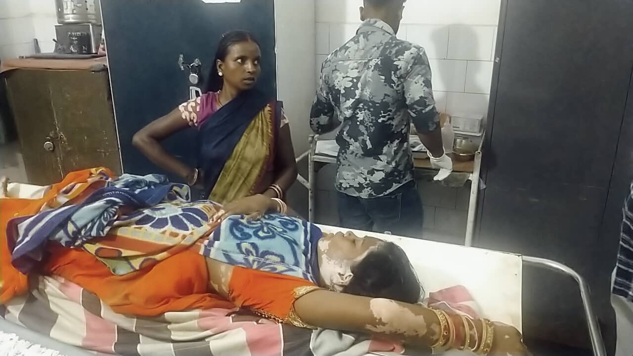 जंगली हाथी के आतंक से दहशत में जी रहे गिरिडीह के लोग, चार दिन में चार की मौत