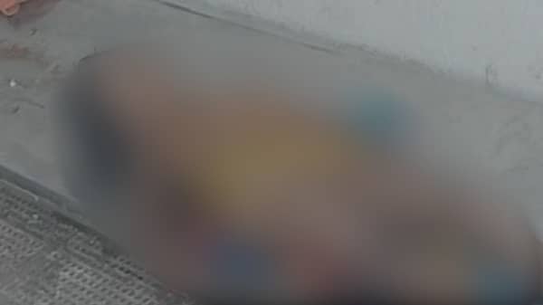 पलामू : तेंदुए के हमले से छह साल की बच्ची की मौत, इलाके में बाघ होने की अफवाह