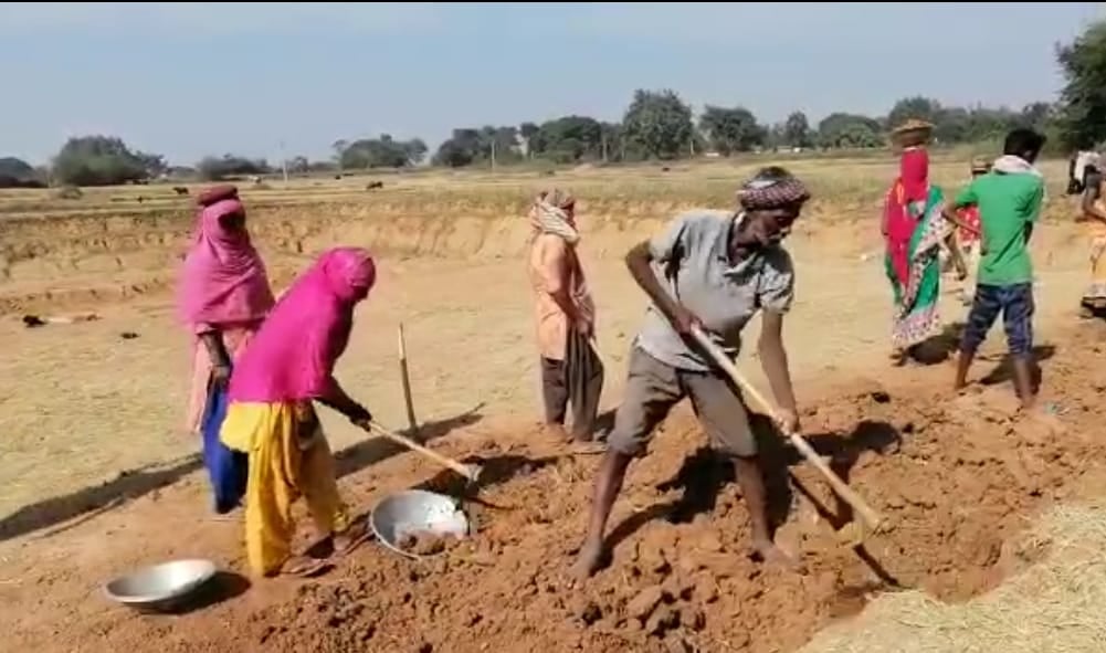 मनरेगा में तीन वर्ष में बढ़ी महिला श्रमिकों की भागीदारी, वर्ष 2022-23 में अबतक 9 करोड़ मानव दिवस का सृजन