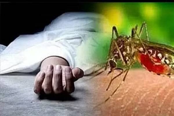 जमशेदपुर में डेंगू से एक और मरीज की मौत, 12 नए पॉजिटिव मरीज मिले