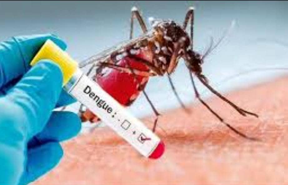 Dengue update: जमशेदपुर में डेंगू ने ली नौ महीने की गर्भवती महिला की जान, शहर में 278 एक्टिव केस, जानें कैसे रहना है सावधान