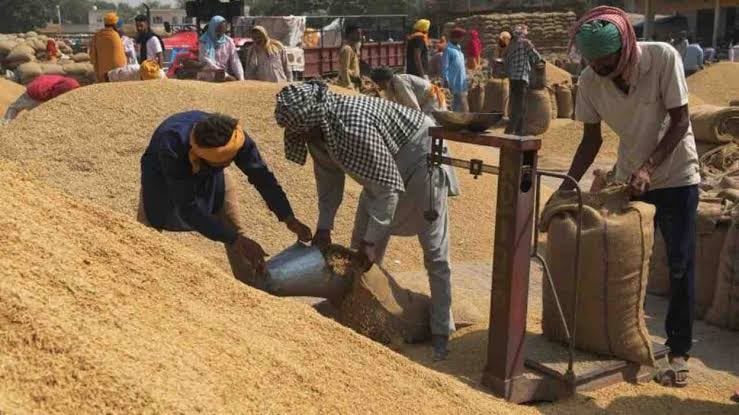 30 क्विंटल धान उपजा, बेच दिया 300 क्विंटल ! गणित का यह सवाल तो सीबीआई ही सुलझा सकती हुूजूर