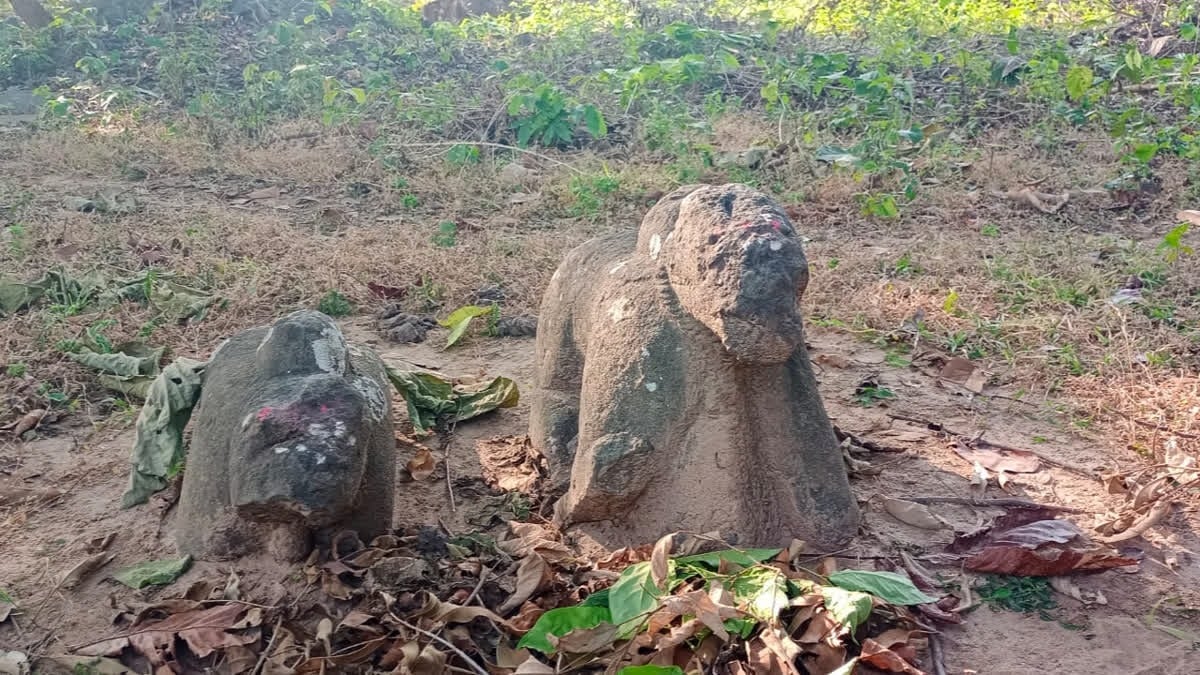 कभी झारखंड में बजता था असुरों का डंका! खूंटी जिले के कारो और बनई नदी के संगम पर मिला प्राचीनतम अवशेष, सामने आ सकती है नई जानकारियां