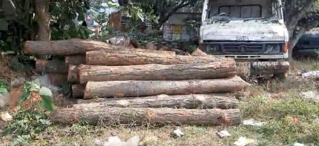 दुमका में वन विभाग ने सखुआ की लकड़ी का 25 बोटा किया जब्त, कार्रवाई के बाद भी धड़ल्ले से हो रही वनों की कटाई