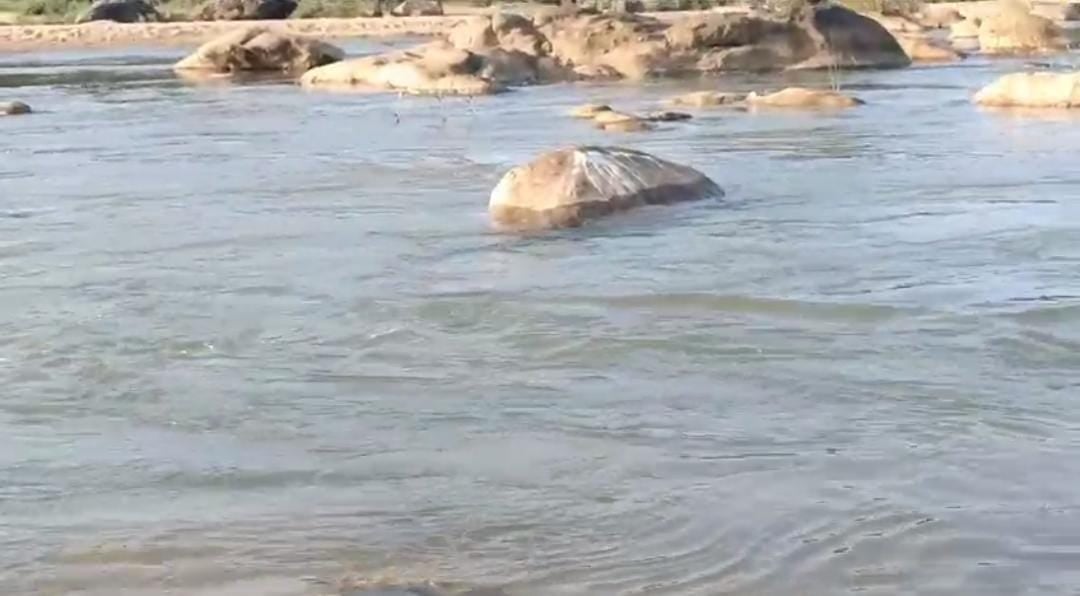 लोगों को लुभा रही है गुमला की प्राकृतिक सुंदरता! अभी से ही बनने लगी पिकनिक की योजना, पढ़ें स्थानीय लोगों की सरकार से क्या है मांग