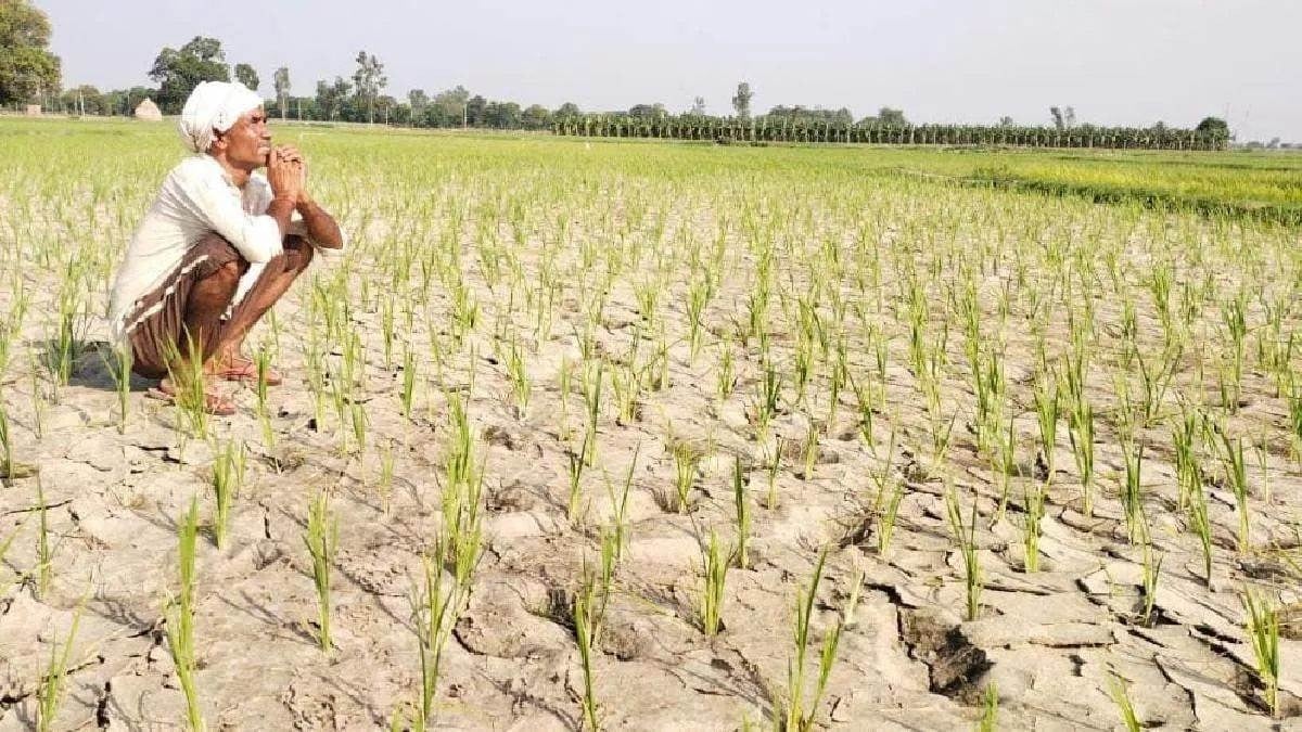 खुशखबरी! राज्य के सूखाग्रस्त 17 जिलों के किसानों को हेमंत सरकार देगी 3500 रुपए की मदद