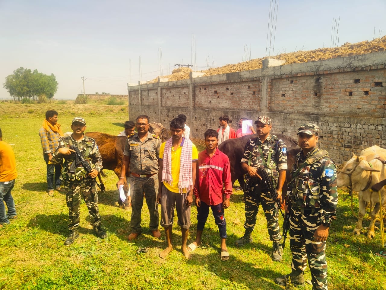 साहिबगंज में धड़ल्ले से जारी है पशु तस्करी का अवैध धंधा, बॉर्डर पर तैनात एसएसबी के जवानों ने किया बड़ा खुलासा