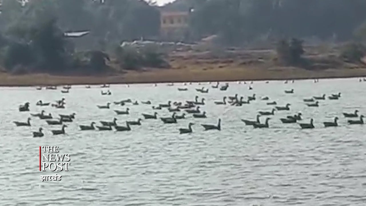 साइबेरियन बर्ड के पहुंचते ही बदली बाबा नगरी की फिजा