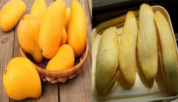Mango Seed Benefit: आम की गुठली के भी हैं ग़ज़ब के फ़ायदे, इन सभी स्वास्थ्य समस्याओं से दिला सकता है निजात