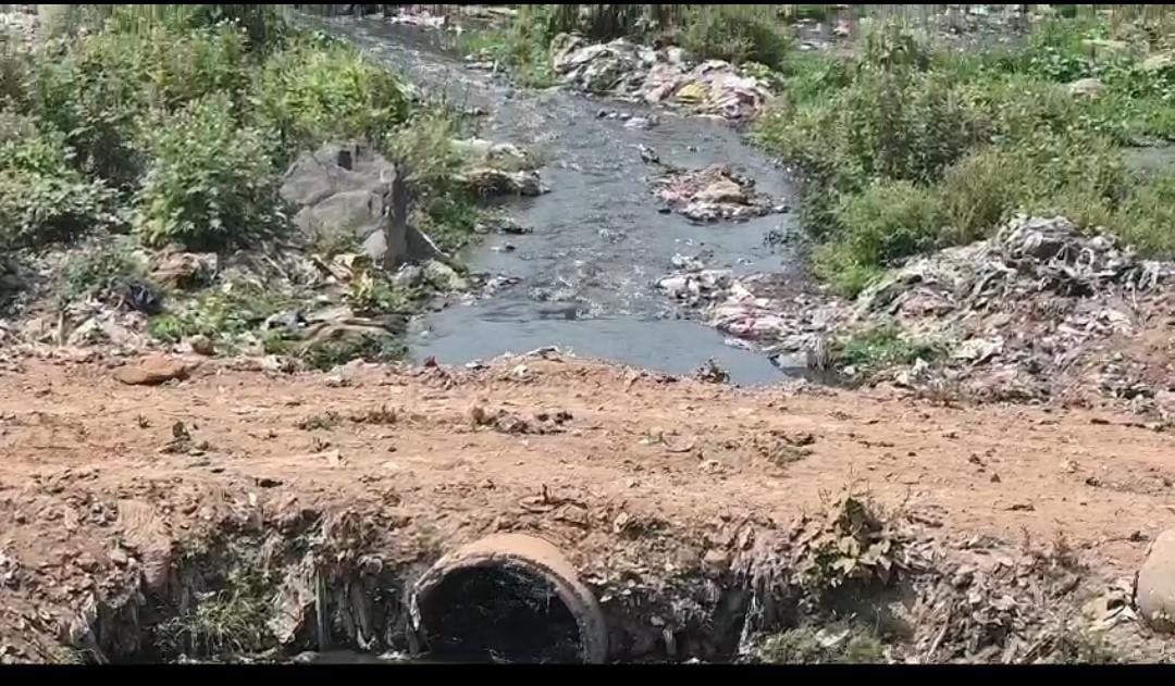 खतरे में पड़ी खड़काई और स्वर्णरेखा नदी! जमशेदपुर की लाइफ लाइन कहे जाने वाली इन दोनों नदियों का पानी हुआ दूषित